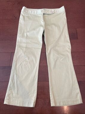 Light Sage Green Gentle Flare Leg Pants